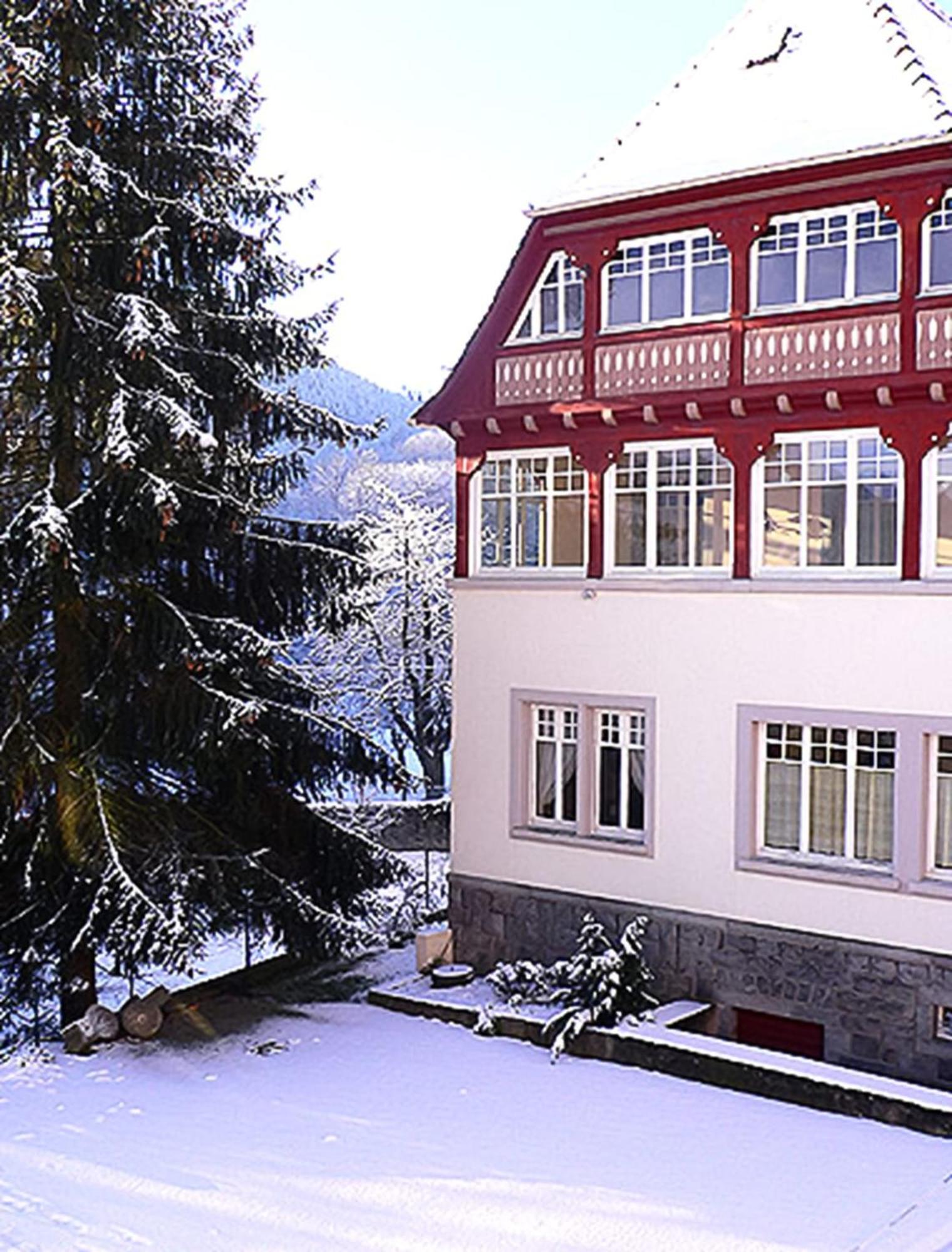 Villa Du Sendenbach Muhlbach-sur-Munster 외부 사진